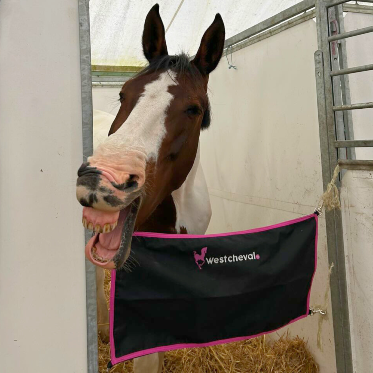 Porte De Box West Cheval