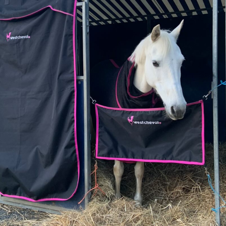 Porte De Box West Cheval