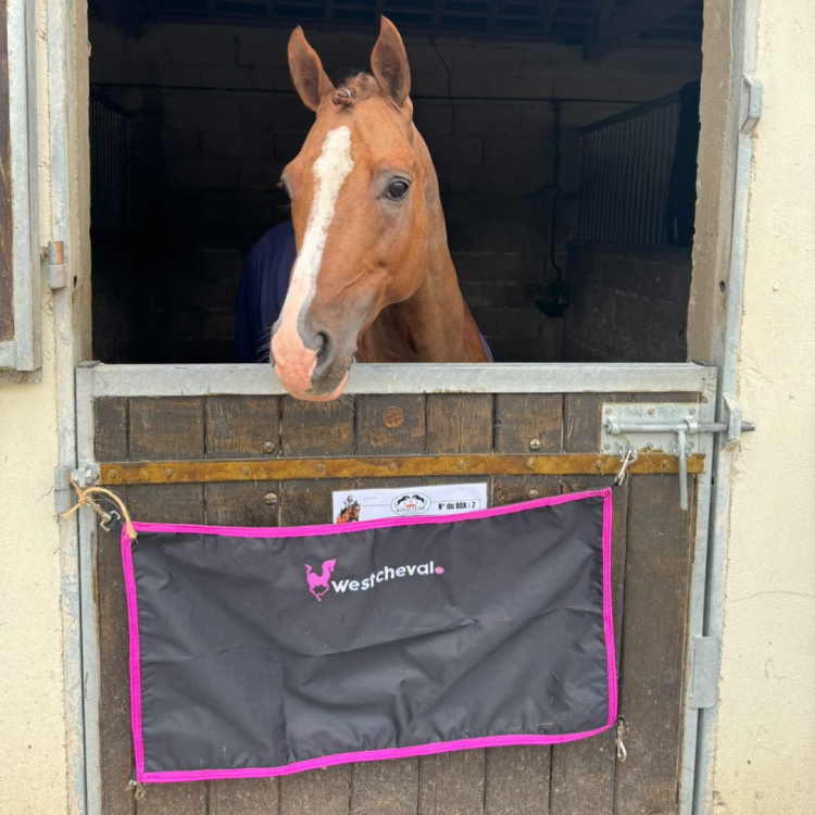 Porte De Box West Cheval