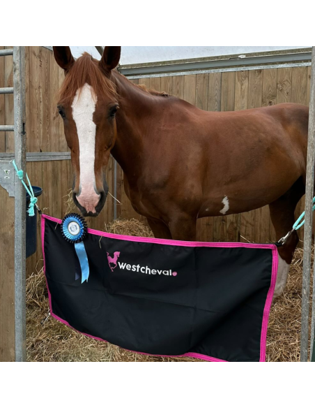 Porte De Box West Cheval