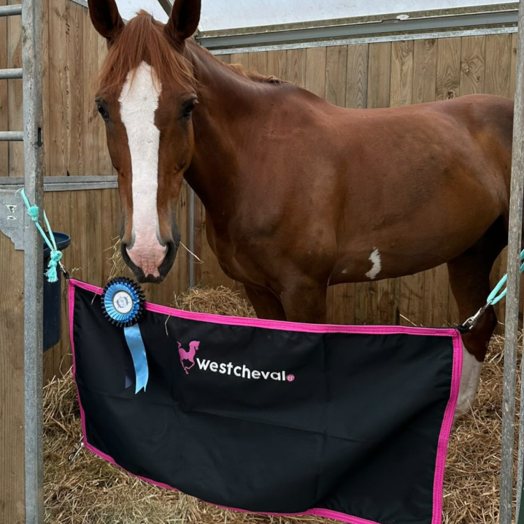 Porte De Box West Cheval