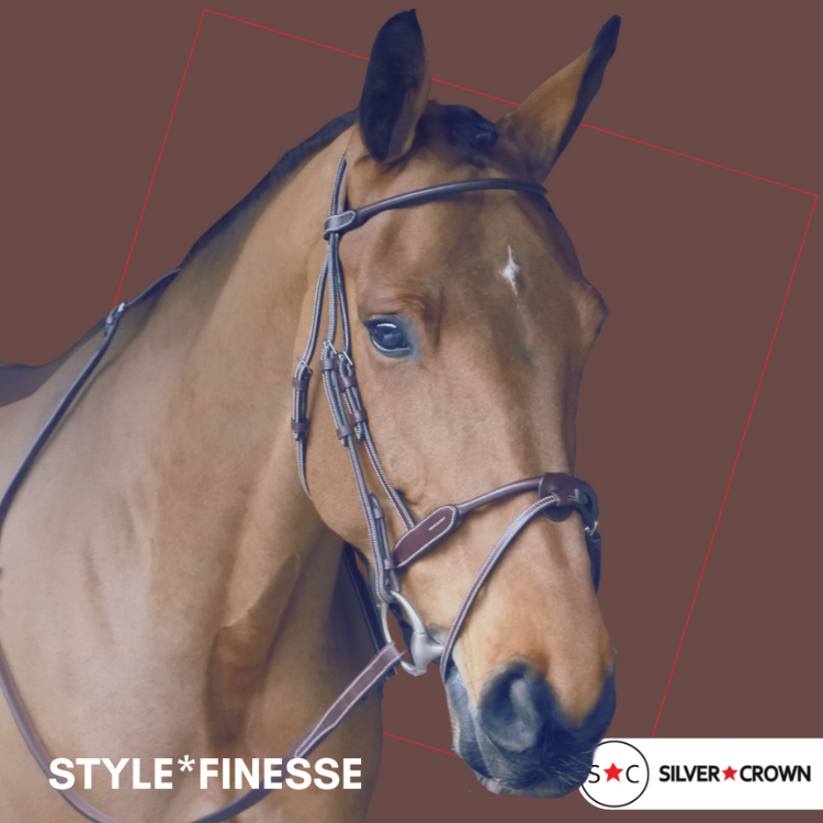 Silver Crown Bridle Style Finesse