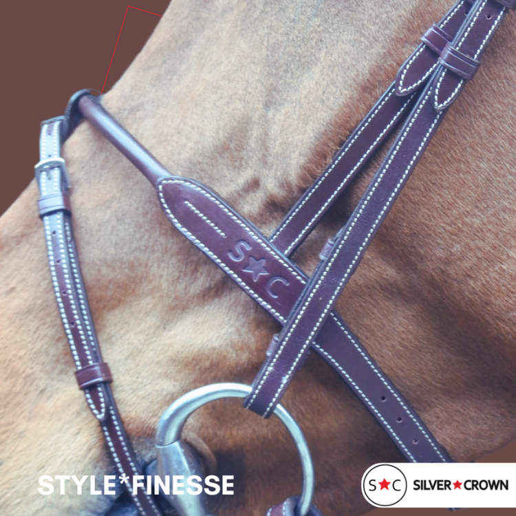 Silver Crown Bridle Style Finesse