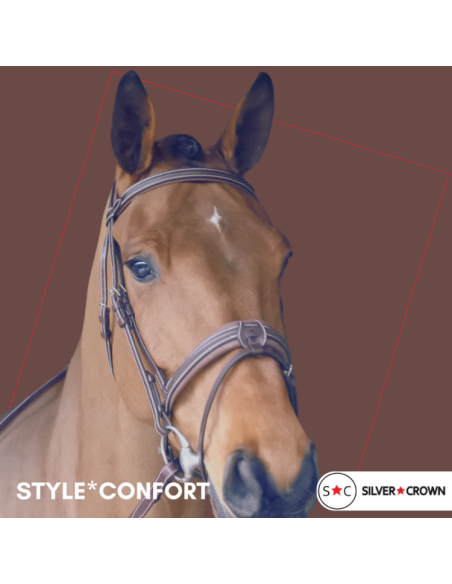 Silver Crown Style Sport Bridle