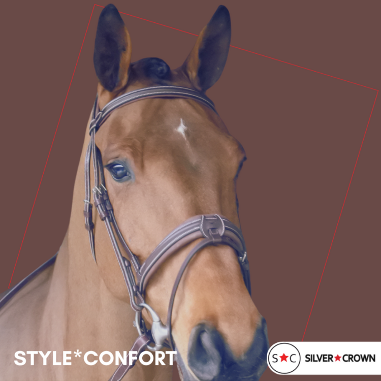 Silver Crown Style Sport Bridle