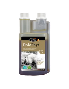 Dolophyt Horse Master