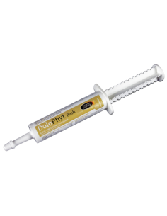 Dolophyt Horse Master Flash Seringue 30ml