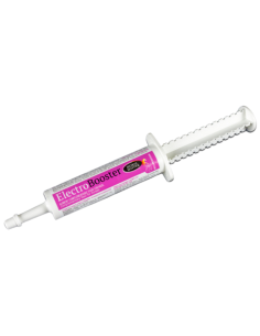 Horse Master Electrobooster syringe