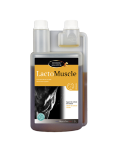 Horse Master Lactomuscle