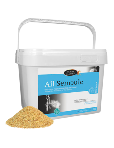 Ail Semoule Horse Master 5kg