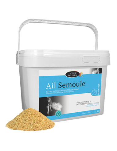 Ail Semoule Horse Master 5kg