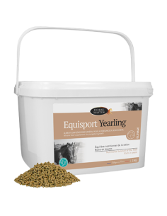 Equisport Yearling Horse Master