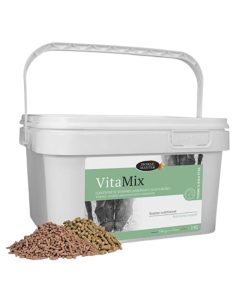 Vitamix Horse Master 3kg