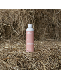 Huile De Massage Alodis Care Digest Recup 250ml 2