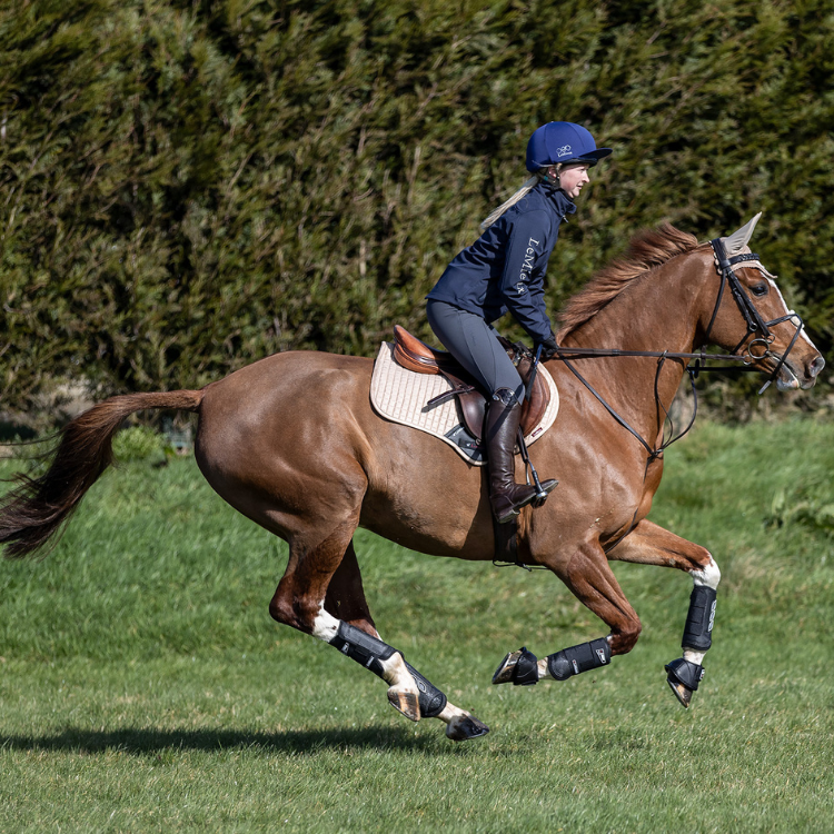 Guêtres Antérieures LeMieux Carbon Air XC Noir