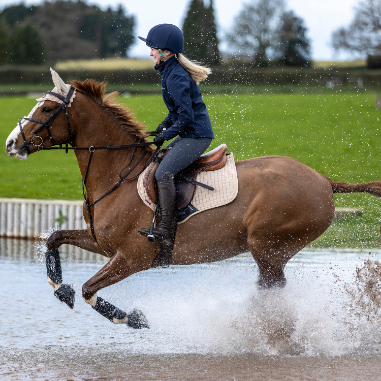 Guêtres Antérieures LeMieux Carbon Air XC Noir