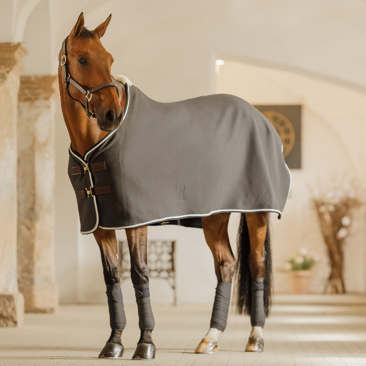 Chemise Séchante Kentucky Vegan Wool Gris