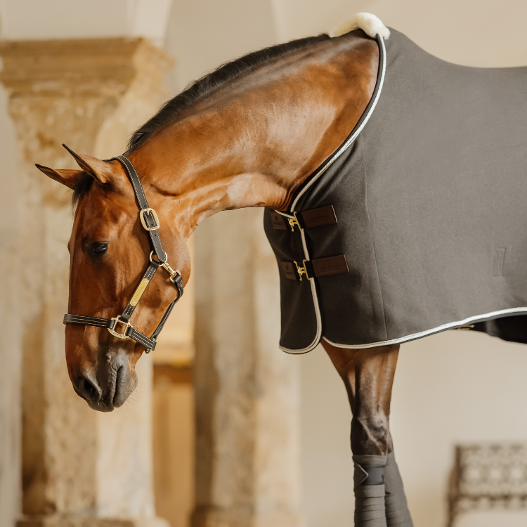 Chemise Séchante Kentucky Vegan Wool Gris