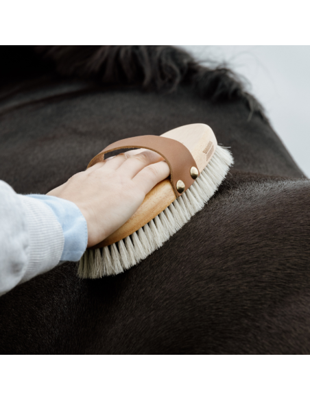 Brosse Grooming Deluxe Body Shine
