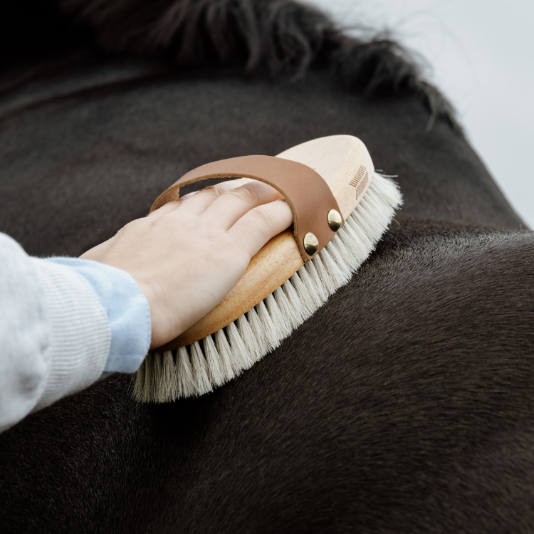 Brosse Grooming Deluxe Body Shine
