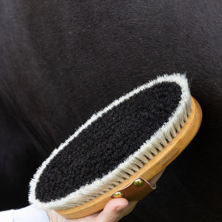Brosse Grooming Deluxe Body Shine