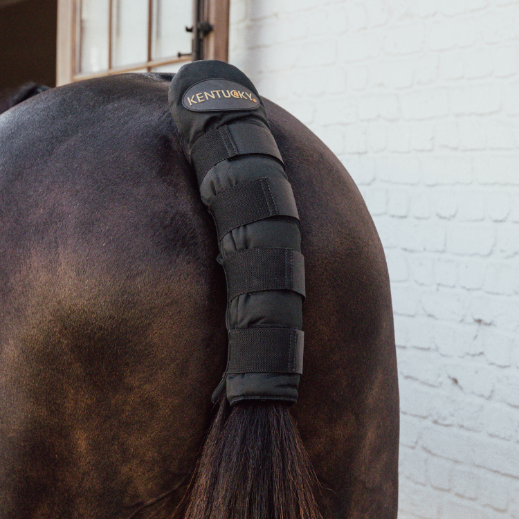 Protège-Queue Kentucky Pro Noir