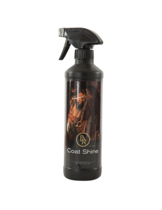 BR Coat Shine Spray 500ml