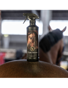 BR Coat Shine Spray 500ml 2