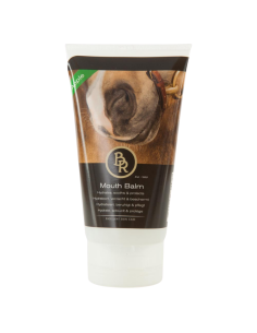 Baume Pour La Bouche BR Pomme 150ml