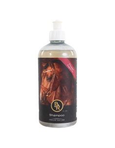 Shampoing BR Flower 500ml