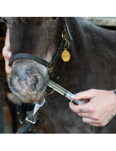 Complément Alodis Care Help Recup 500ml 2