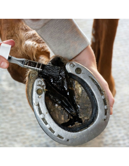 Huile Alodis Care Fourchette Clean 200ml