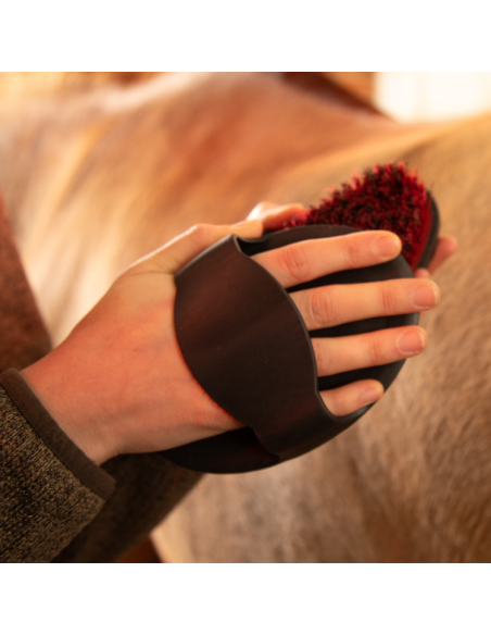 Étrille Caoutchouc Premier Equine Noir