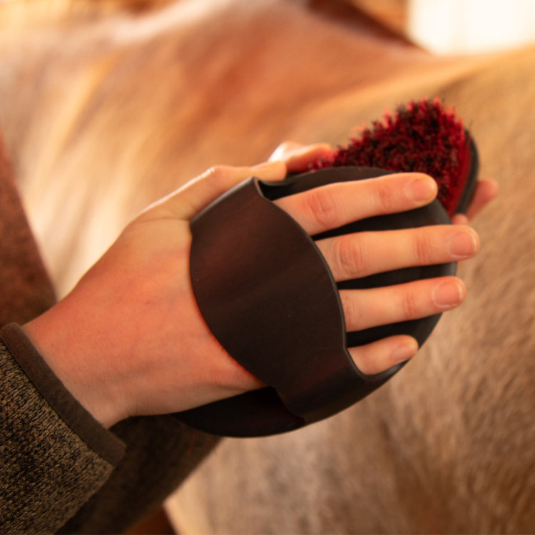 Étrille Caoutchouc Premier Equine Noir