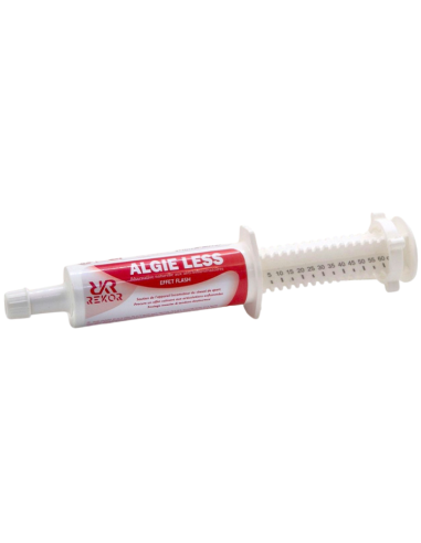 Seringue Rekor Algie Less Flash 60ml
