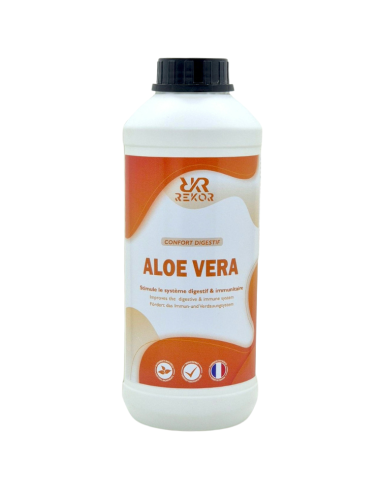 Complément Rekor Aloe Vera Jus 1L