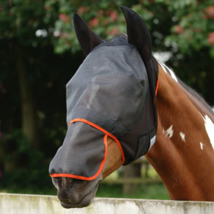 Bonnet Anti-Mouches Equilibrium UV Max Cheval