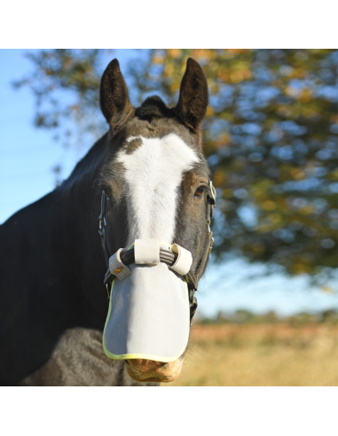 Protection Solaire Equilibrium De Nez