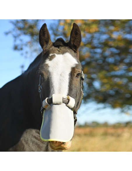 Protection Solaire Equilibrium De Nez
