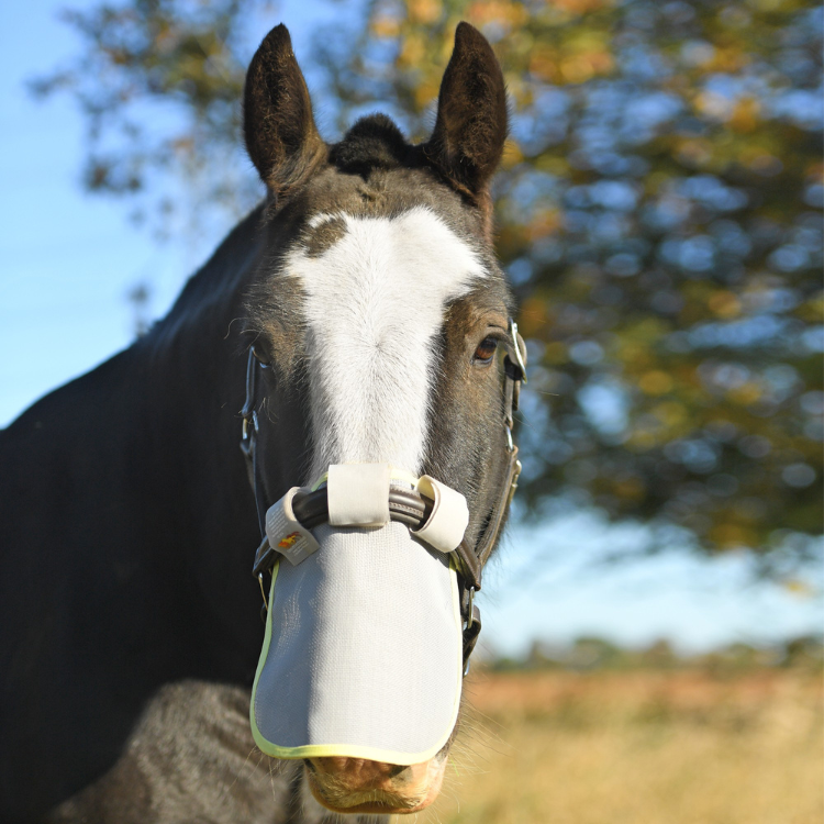 Protection Solaire Equilibrium De Nez