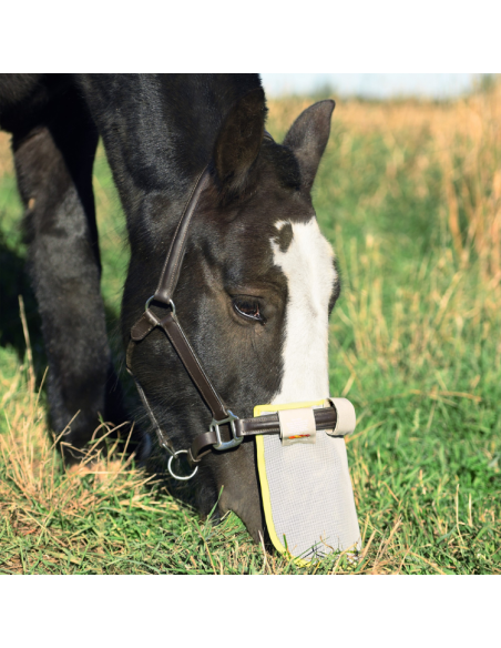 Protection Solaire Equilibrium De Nez