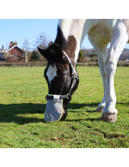Protection Solaire Equilibrium De Nez