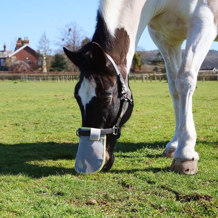 Protection Solaire Equilibrium De Nez