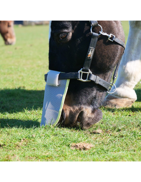 Protection Solaire Equilibrium De Nez