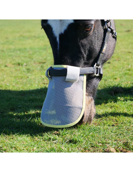 Protection Solaire Equilibrium De Nez