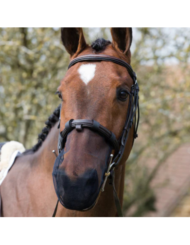 Equilibrium Muzzle Net for Head-shakers Black