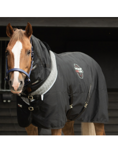 Equilibrium Magnetic Rug