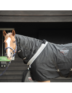 Equilibrium Magnetic Rug 2