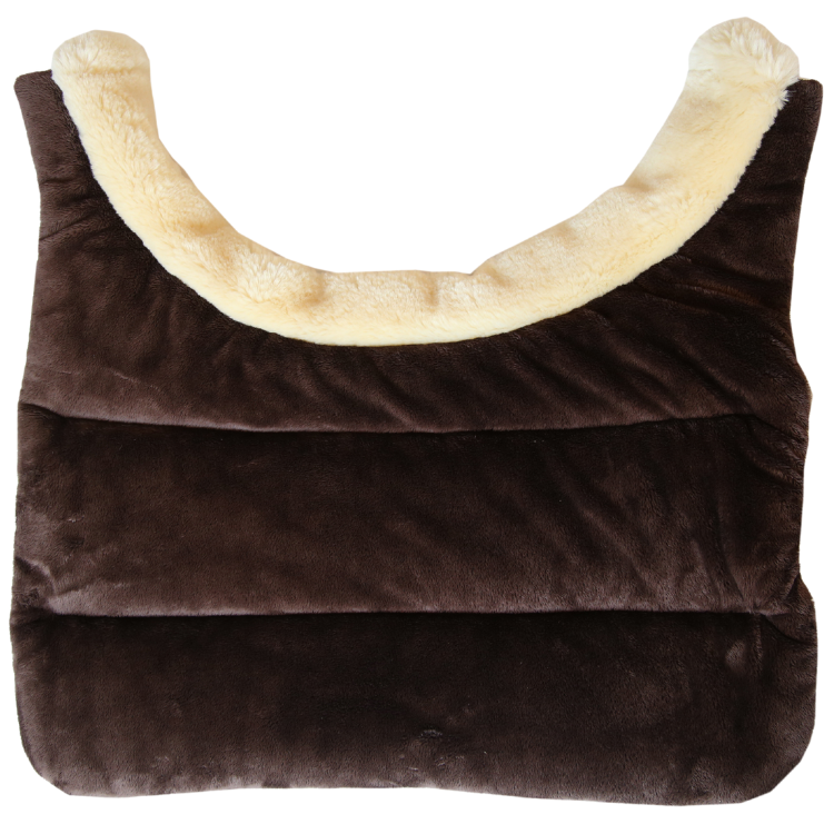 Protection De Poitrail Kentucky Hiver