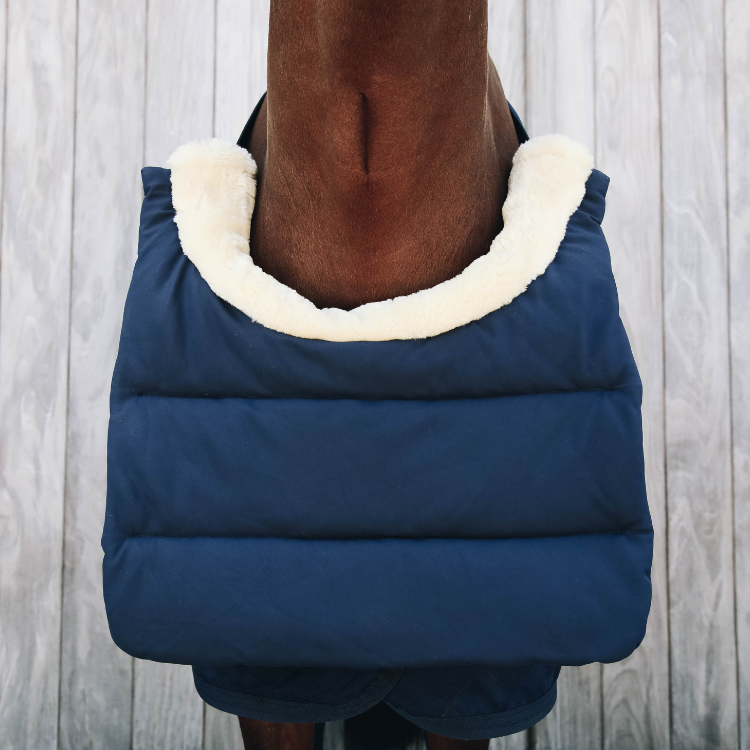 Protection De Poitrail Kentucky Hiver Marine